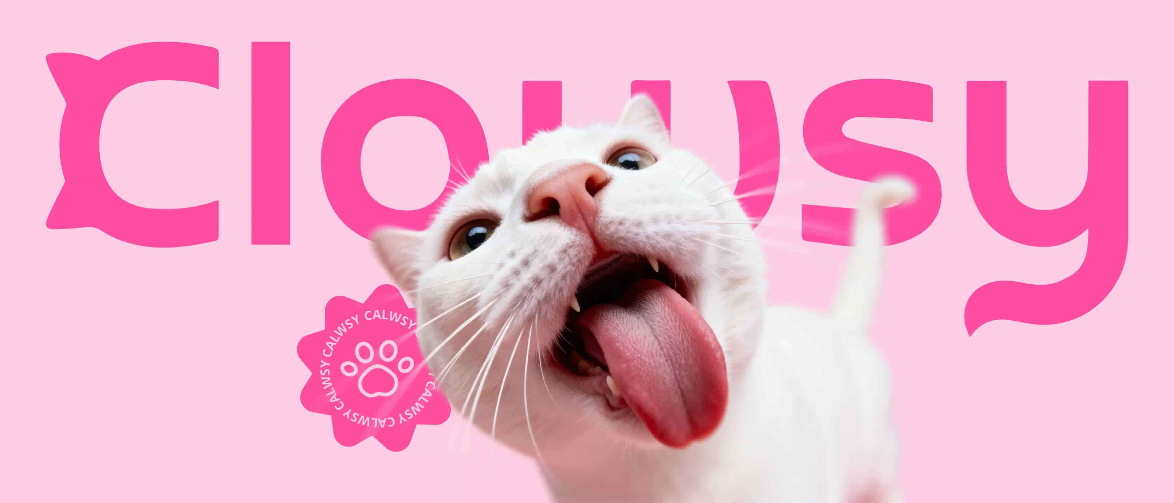CLAWSY thumbnail 16